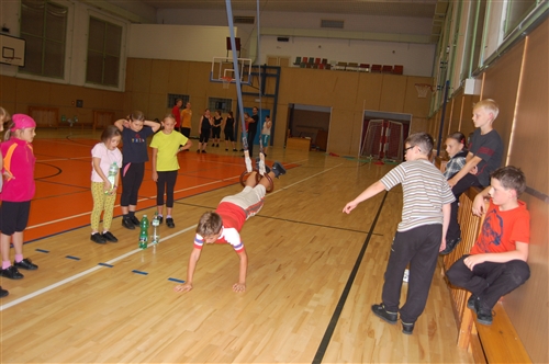 Obrázek v galerii